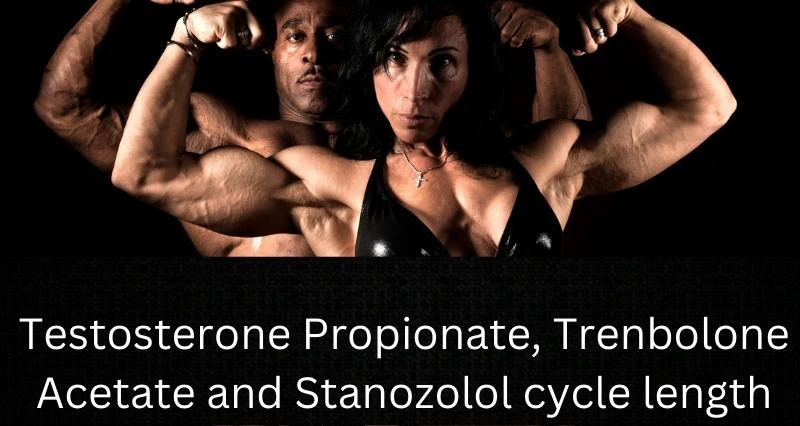 Testosterone Propionate, Trenbolone Acetate and Stanozolol cycle length
