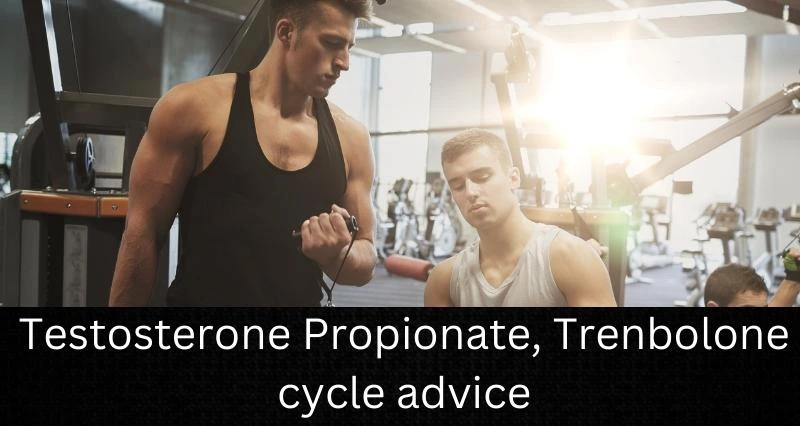 Testosterone Propionate, Trenbolone cycle advice
