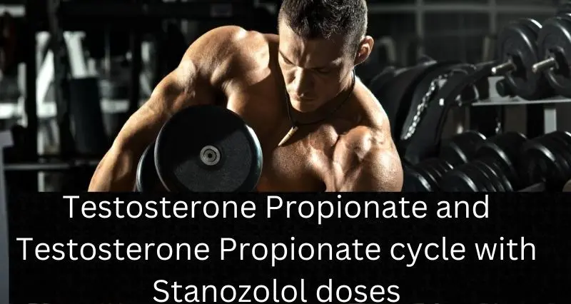 Testosterone-Propionate-and-Testosterone-Propionate-cycle-with-Stanozolol-doses