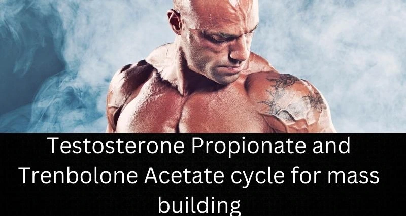 Testosterone Propionate and Trenbolone Acetate cycle for mass building